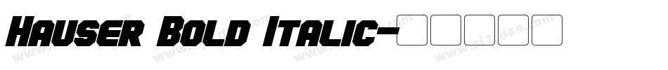 Hauser Bold Italic字体转换